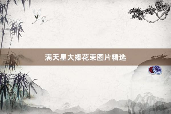 满天星大捧花束图片精选